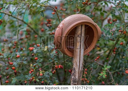 Clay tureen.