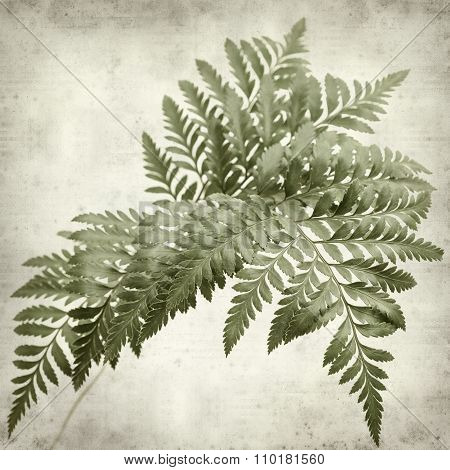 Textured Old Paper Background