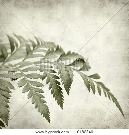 Textured Old Paper Background
