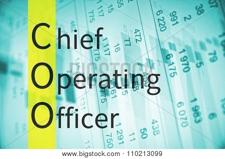 Chief Operating Officer