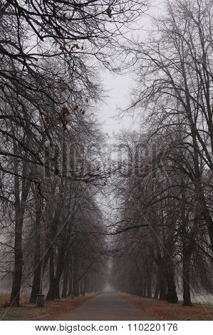 Path leads in autumn foggy park
