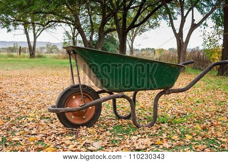 Old Wheelbarrow On Autumn Leaves