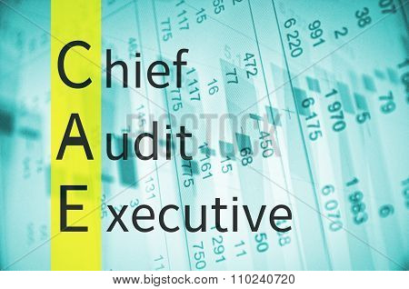 Chief audit executive