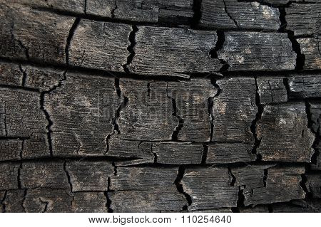 Abstract burn wood background