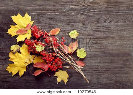 Composition of guelder-rose and autumn leaves on wooden background