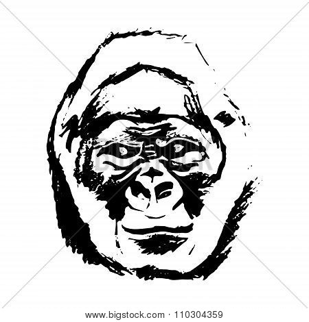 Monkey Head (graphics) - Gorilla