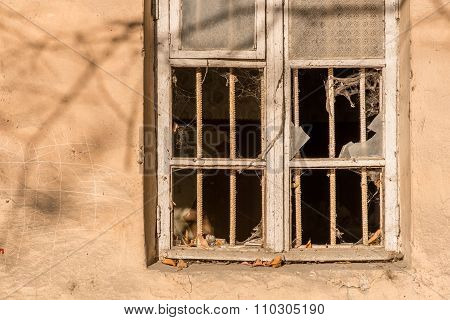 Without tenants.