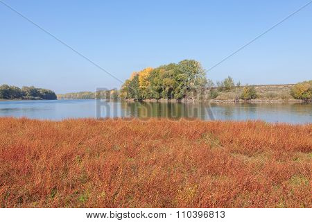 red field and river