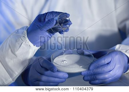 science, chemistry and people concept - close up of scientists hands with glass and chemical powder in petri dish making test or research at laboratory