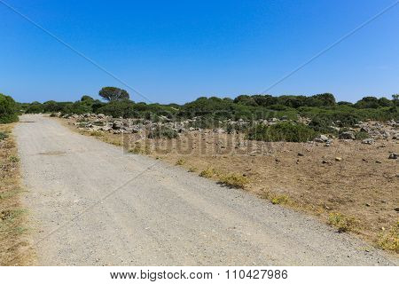 Giara Di Gesturi