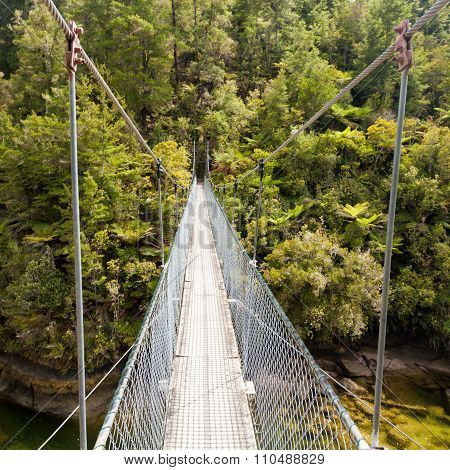 Swing Bridge Over Green Jungle River New Zealand