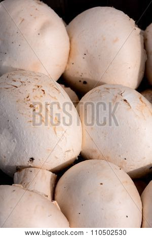 White Mushroom Food