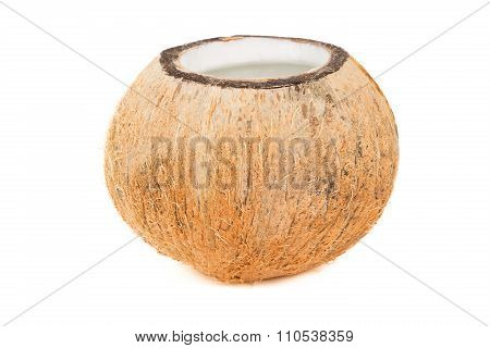 Tropical Coconut Refreshment