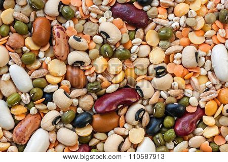 Legumes