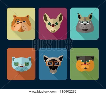 Cats avatar icon set