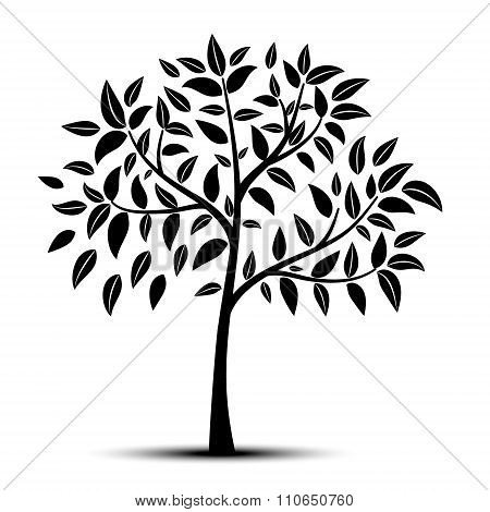 Tree With Leaves Vector