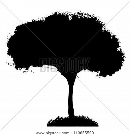 Tree Silhouette Isolated on White Backgorund. Vecrtor Illustrati
