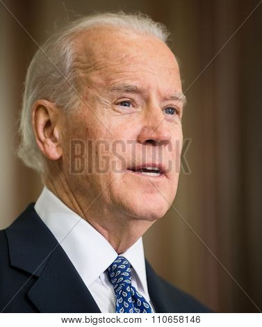 Vice President Of Usa Joe Biden