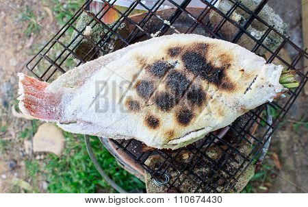 Grilled Fish (body Salt)