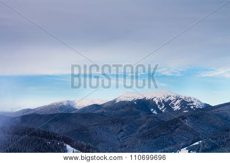 View of the snow-capped mountains and forests