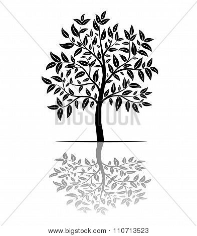 Tree Silhouette With Leaves