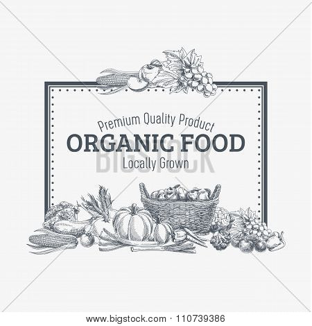 Vector background with hand drawn organic food.