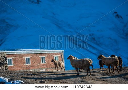 Ancient settlement in the mountains, Xinaliq, Azerbaijan