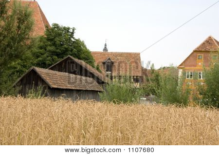 Spelt