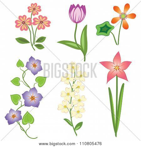 Flower set. Tulip, camomile daisy petunia orchid lily, bird cherry. Colored  floral symbols with lea