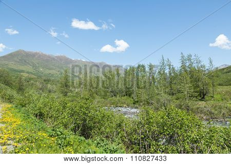 Alaskan Landscape