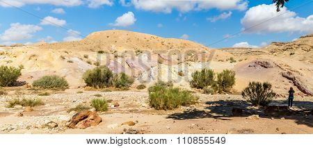 The Negev Desert