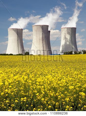 Cooling Tower And Rapeseed Field