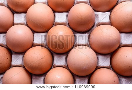 chicken Eggs, which were prepared for cooking.