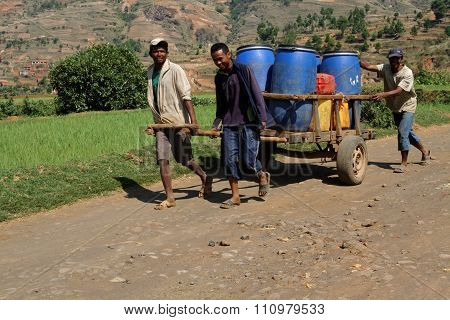 Betafo, Madagascar, November 17, 2015 : Heavy Load On The Path. The Irrigated Rice Paddies Of The Ar