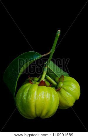 Close Up Fresh Garcinia Cambogia Over Black Background