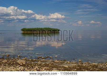 reed island, Peipsi (Chudskoe) lake, Estonia