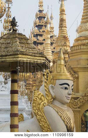 Asia Myanmar Yangon Shwedagon Pagoda