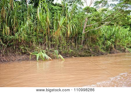 Amazon River Outdoors