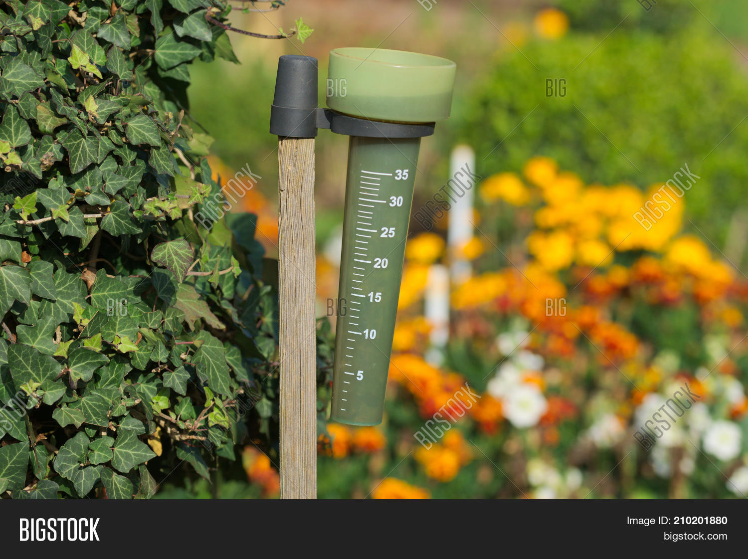Rain Gauge Instrument Image & Photo (Free Trial) Bigstock