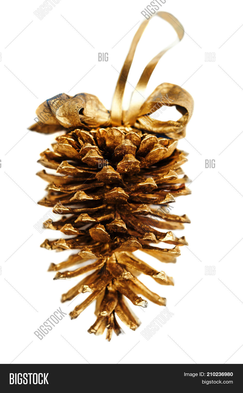 golden pine christmas gold cone image photo bigstock