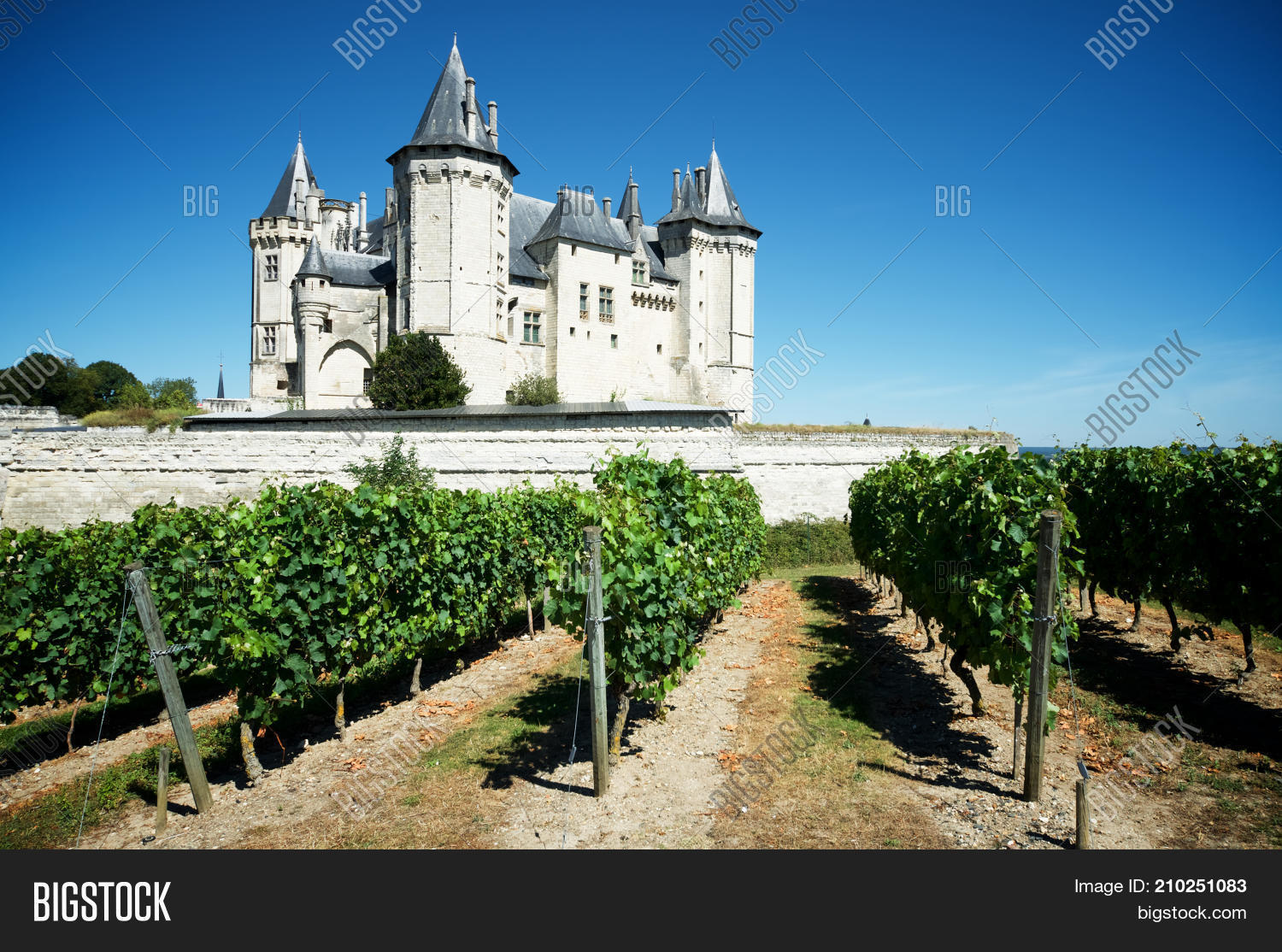 Saumur Castle Loire Image & Photo (Free Trial) | Bigstock