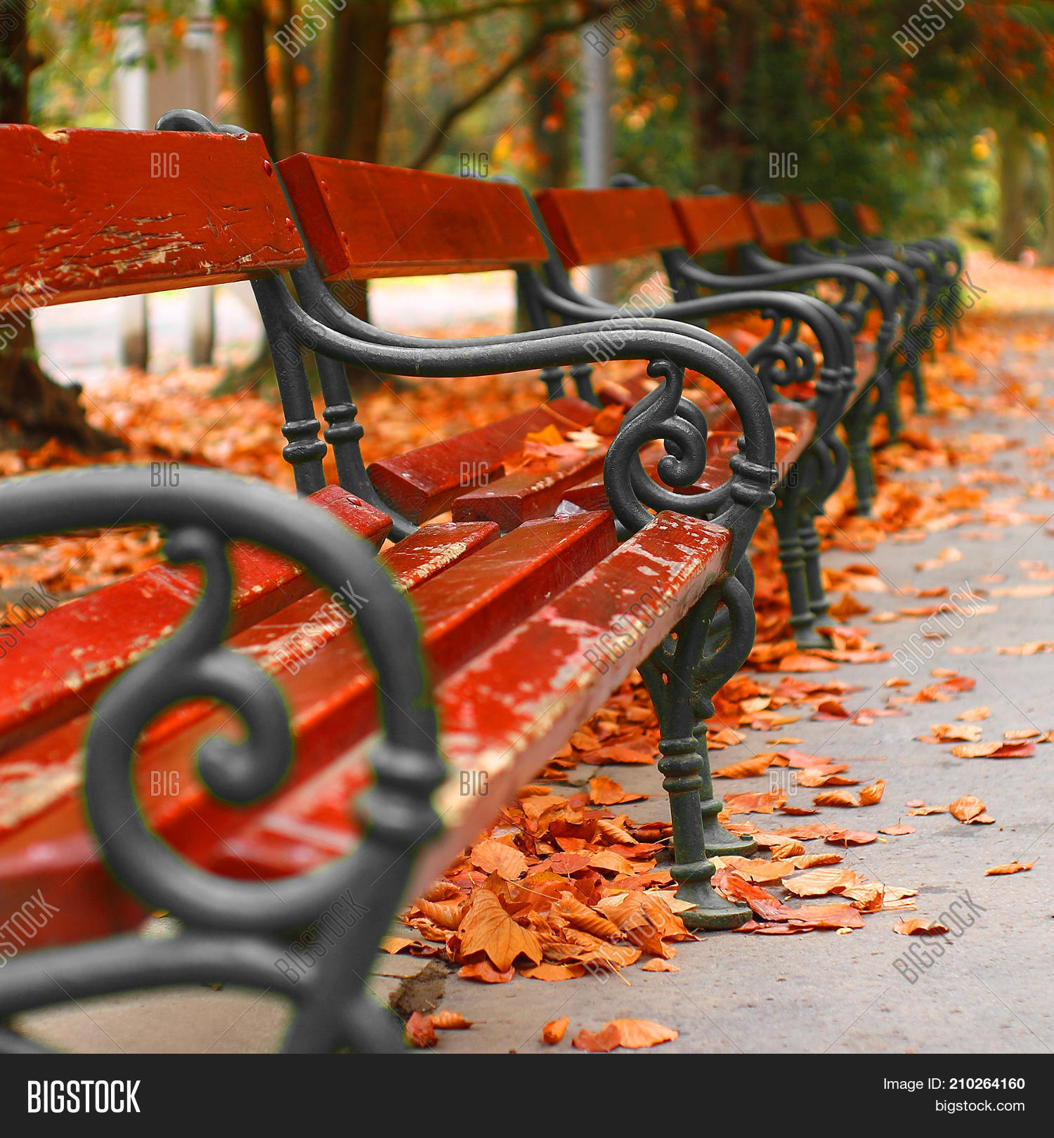 Autumn Bench campestre.al.gov.br