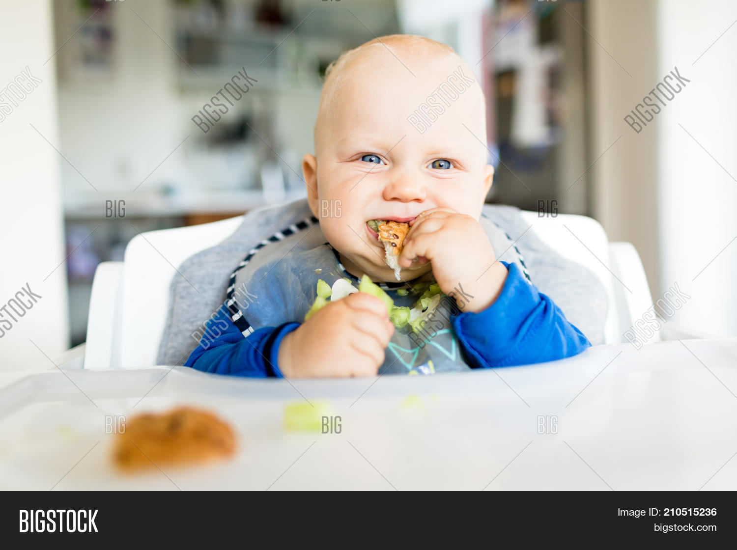 Baby Eating Bread Image & Photo (Free Trial) Bigstock