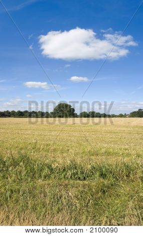 Terras agrícolas