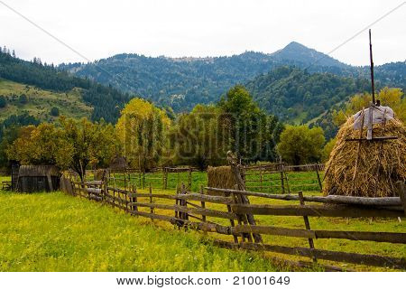 Paesaggio Auntumn