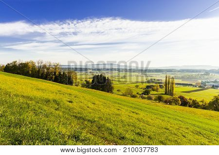 Swiss landscape with forests and meadows early in the morning. Agriculture in Switzerland fields and pastures.