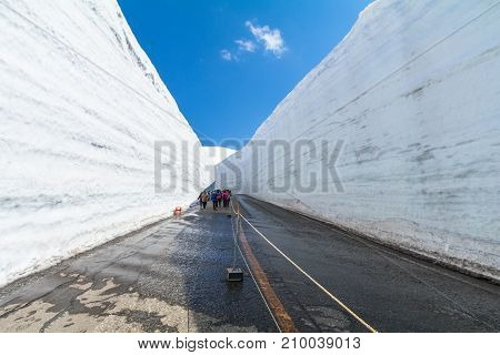 Road between snow wall of Tateyama Kurobe Alpine Route or Japanese Alps with blue sky background is one of the most important and popular natural place in Toyama Prefecture Japan.