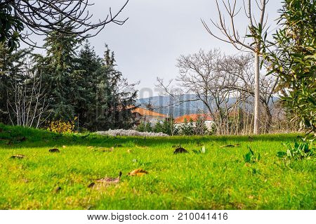 Vegina, A Small Town In Northern Greece