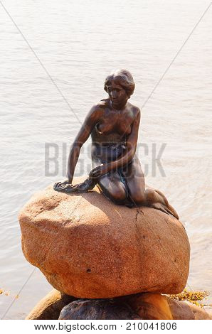 Little Mermaid Monument, Kopenhagen, Danmark