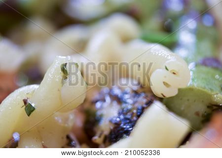 Extreme Closeup Macro Of Strozzapreti